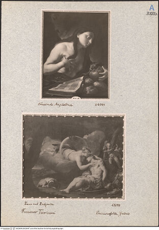 Vorderseite von bh026846_bh026847_recto