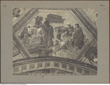 Vorderseite von Alinari [https://www.deutsche-digitale-bibliothek.de/content/lizenzen/rv-ez/] Szenen aus dem Alten TestamentTeilung von Licht und Dunkelheit, Erschaffung von Sonne, Mond und Sternen, Erschaffung der Tiere und Vögel; Erschaffung Evas; Versuchung und Sündenfall; die Sintflut; Allegorien - Die Sinflut, bh027118_recto. Foto.