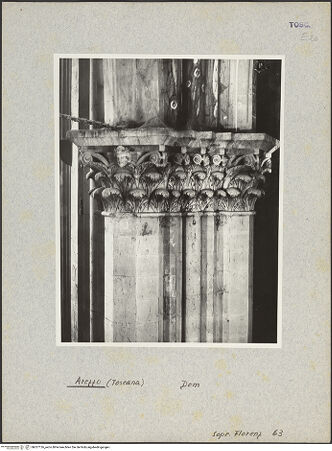 Vorderseite von Sopr. BAS FI [https://www.deutsche-digitale-bibliothek.de/content/lizenzen/rv-ez/] Duomo - Kapitell, bh027126_recto. Foto.