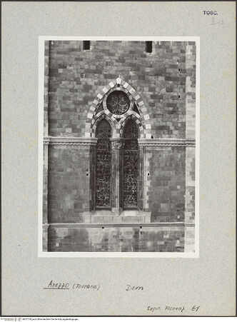 Vorderseite von Sopr. BAS FI [https://www.deutsche-digitale-bibliothek.de/content/lizenzen/rv-ez/] DuomoSüdfassade - Fenster des fünften Jochs von Westen, bh027130_recto. Foto.