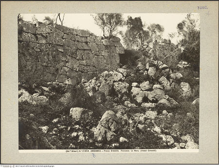 Vorderseite von bh027154_recto