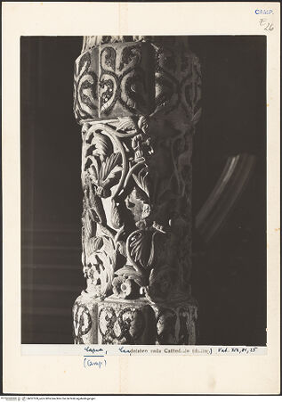 Vorderseite von Vatikan, Monumenti, Musei e Gallerie Pontificie [https://www.deutsche-digitale-bibliothek.de/content/lizenzen/rv-ez/] Erstes Register: Weinernte - Detail, bh027339_recto. Foto.