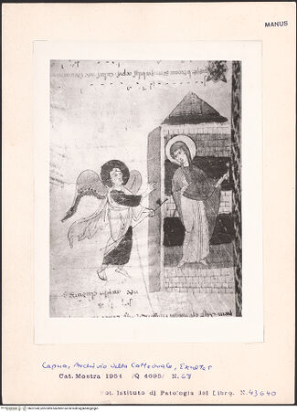 Vorderseite von bh027349_recto