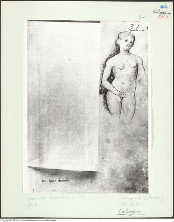 Vorderseite von bh027482_recto