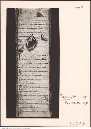 Vorderseite von bh027524_recto