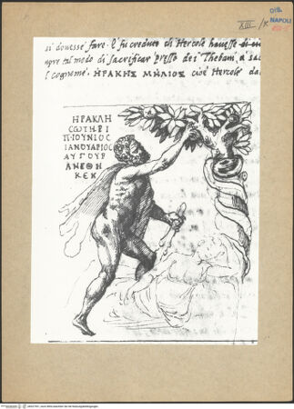 Vorderseite von bh027551_recto