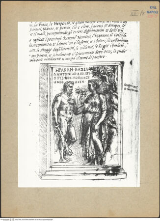 Vorderseite von bh027553_recto