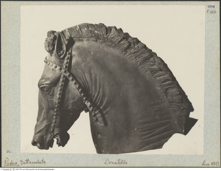 Vorderseite von Istituto Luce [https://www.deutsche-digitale-bibliothek.de/content/lizenzen/rv-fz/] Reiterdenkmal des Erasmus da Narni: il GattamelataGattamelata in Condottieren-Rüstung zu Pferd - Linke Seite, Detail: Kopf des Pferdes, bh027798_recto. Foto.