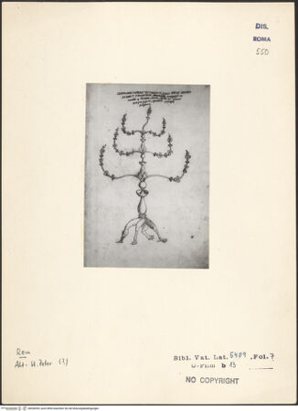 Vorderseite von bh028394_recto