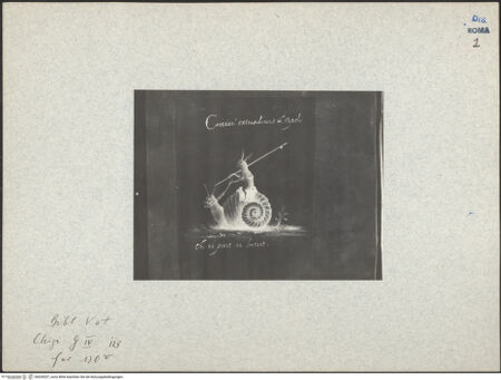 Vorderseite von bh028537_recto