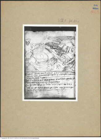 Vorderseite von bh028733-1_bh028733-2_recto