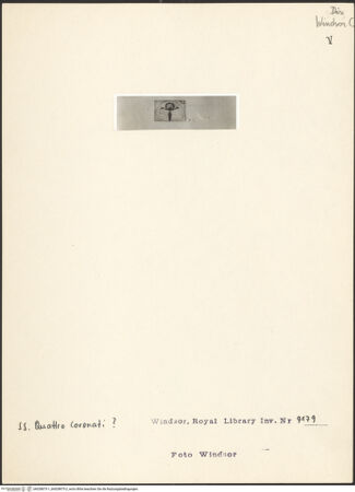 Vorderseite von bh028875-1_bh028875-2_recto