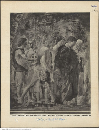 Vorderseite von Alinari [https://www.deutsche-digitale-bibliothek.de/content/lizenzen/rv-ez/] Die Kreuzlegende, Propheten und HeiligenRechte WandPflanzung des Kreuzesbaums auf Adams Grab - Beerdigung Adams, Detail, bh028935_recto. Foto.