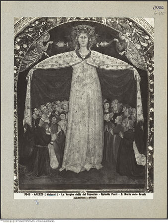 Vorderseite von bh029035_recto