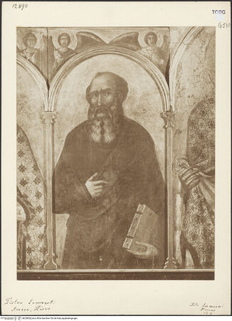 Vorderseite von Sansoni [https://www.deutsche-digitale-bibliothek.de/content/lizenzen/rv-ez/] Madonna in Halbfigur zwischen Johannes dem Evangelisten, dem Heiligen Donatus, Johannes dem Täufer und dem Evangelisten Matthäus, die Verkündigung und Himmelfahrt Mariens und weitere Heilige und ProphetenDer Evangelist Johannes - Gesamtansicht (vor der Restaurierung), bh029064_recto. Foto.