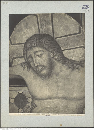 Vorderseite von bh029075_recto