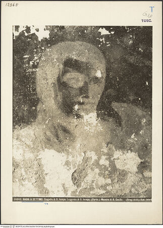 Vorderseite von bh029105_recto