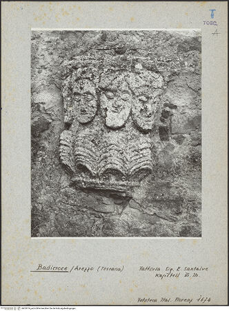 Vorderseite von bh029116_recto