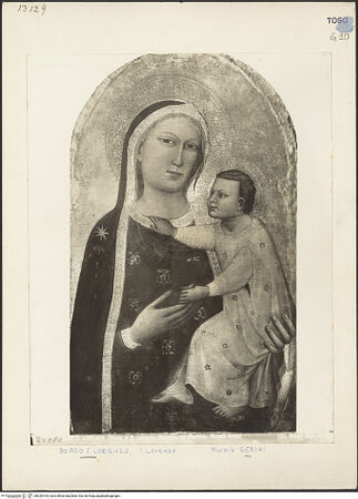 Vorderseite von bh029164_recto