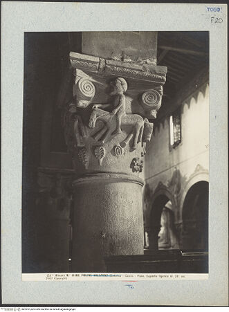 Vorderseite von bh029195_recto