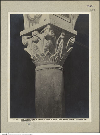 Vorderseite von bh029207_recto