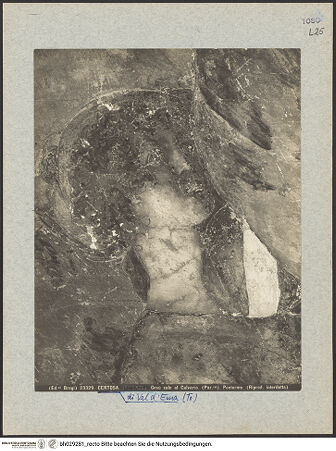 Vorderseite von bh029281_recto