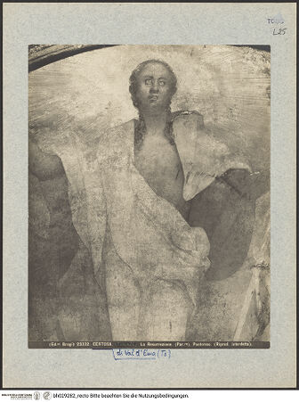 Vorderseite von bh029282_recto