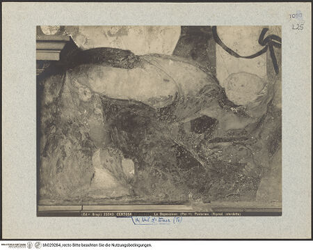 Vorderseite von bh029284_recto