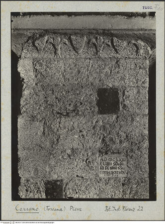 Vorderseite von bh029317_recto