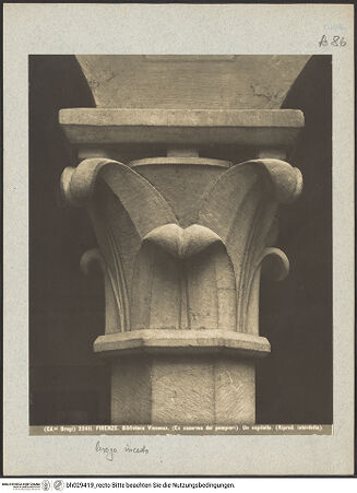 Vorderseite von bh029419_recto