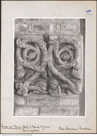 Vorderseite von Foto Marburg [https://www.deutsche-digitale-bibliothek.de/content/lizenzen/rv-ez/] Schmuckplatten (Kanzelfragmente?) - Schmuckplatte mit Rankenornament, Löwe und Halbfigur (vermauert), bh029831_recto. Foto: Lehmann-Brockhaus, Otto.