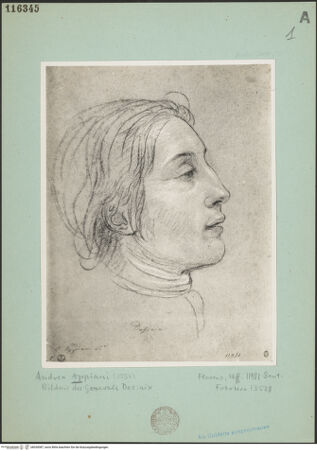 Vorderseite von bh030087_recto