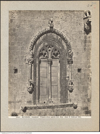 Vorderseite von bh030128_recto