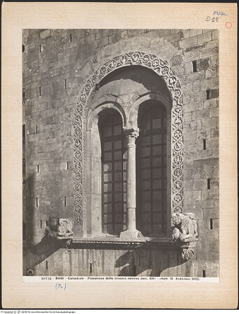 Vorderseite von Alinari [https://www.deutsche-digitale-bibliothek.de/content/lizenzen/rv-ez/] Fenster der Mittelreihe mit Tierfigurenkonsolen - Fenster links, Gesamtansicht, bh030196_recto. Foto.