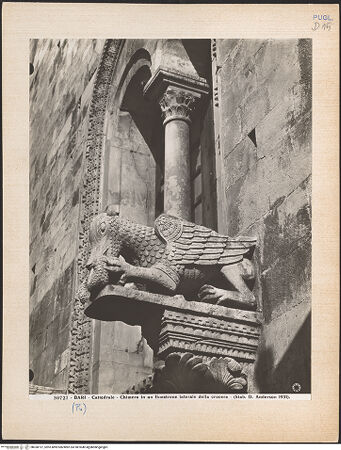 Vorderseite von Alinari [https://www.deutsche-digitale-bibliothek.de/content/lizenzen/rv-ez/] Fenster der Mittelreihe mit Tierfigurenkonsolen - Fenster rechts, Detail: Greif rechts (Restaurierung 1613/1617), bh030197_recto. Foto.