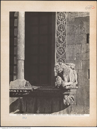 Vorderseite von Alinari [https://www.deutsche-digitale-bibliothek.de/content/lizenzen/rv-ez/] Fenster der Mittelreihe mit Tierfigurenkonsolen - Fenster links, Detail: Löwe rechts, bh030198_recto. Foto.