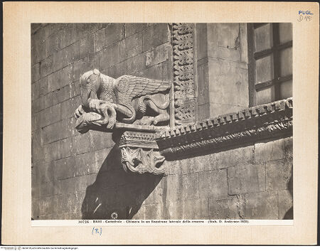 Vorderseite von Alinari [https://www.deutsche-digitale-bibliothek.de/content/lizenzen/rv-ez/] Fenster der Mittelreihe mit Tierfigurenkonsolen - Fenster rechts, Detail: Greif links, bh030199_recto. Foto.