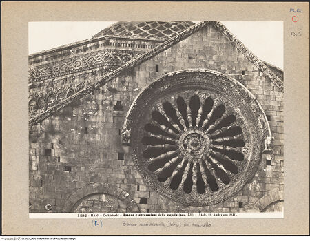 Vorderseite von Alinari [https://www.deutsche-digitale-bibliothek.de/content/lizenzen/rv-ez/] Fensterrose des Südquerhauses - Gesamtansicht, bh030200_recto. Foto.