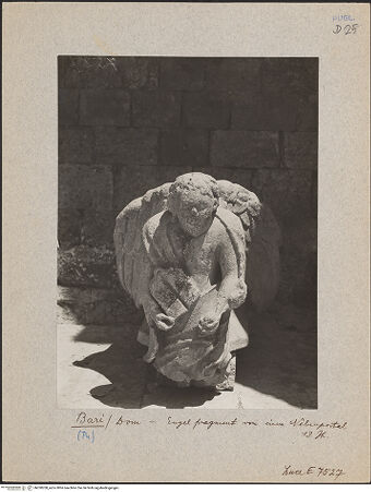 Vorderseite von ICCD [https://www.deutsche-digitale-bibliothek.de/content/lizenzen/rv-ez/] Engel von einem Nebenportal (?) - Gesamtansicht, bh030208_recto. Foto.