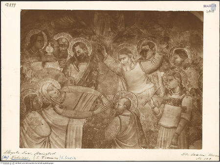 Vorderseite von bh030441_recto