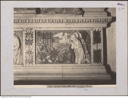 Vorderseite von bh030497_recto