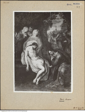 Vorderseite von bh030681_recto