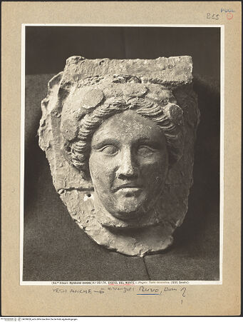 Vorderseite von bh030850_recto