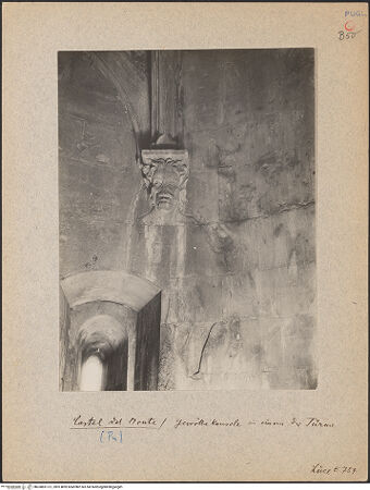 Vorderseite von bh030851-01_recto