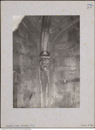 Vorderseite von bh030853_recto