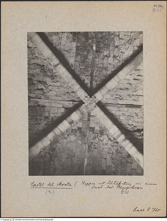 Vorderseite von bh030860_recto