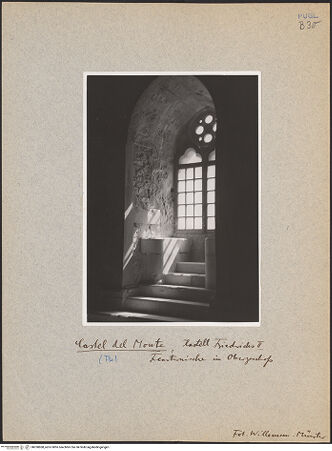 Vorderseite von bh030868_recto