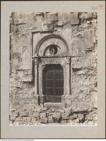 Vorderseite von bh030874_recto