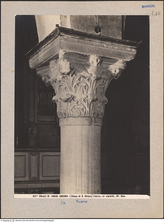 Vorderseite von Alinari [https://www.deutsche-digitale-bibliothek.de/content/lizenzen/rv-ez/] Seitenansicht, bh030925_recto. Foto.