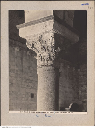 Vorderseite von Alinari [https://www.deutsche-digitale-bibliothek.de/content/lizenzen/rv-ez/] Seitenansicht, bh030926_recto. Foto.